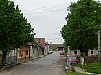 Třibřichy